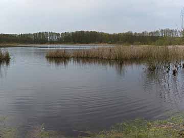 Schulzensee Zühlen