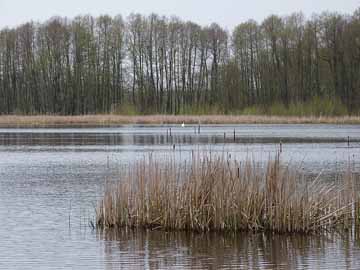 Schulzensee Zühlen