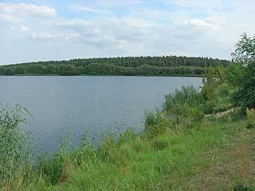 Niegripper See – Westufer Höhe Niegripp