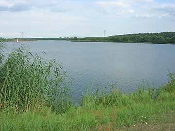 Niegripper See – Blick vom Westufer