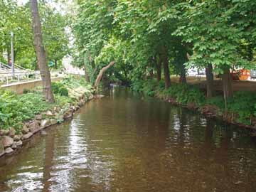 Schwentine – oberhalb der Mündung in den Dieksee