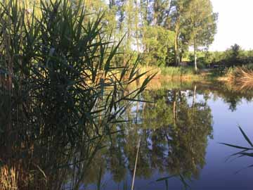 Tongrubenwasserloch