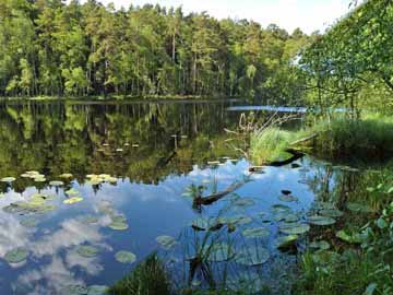 Himmelreichsee