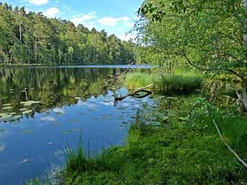 Himmelreichsee