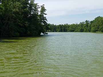 Gleuensee – südlicher Seebereich