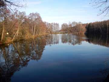 Steinbachtalsperre, Vorstau – Blick entlang des westlichen Ufers