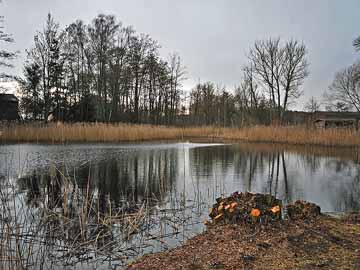 Mühlenteich Dorf Zechlin