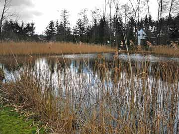 Mühlenteich Dorf Zechlin