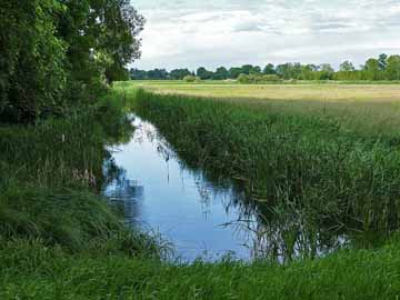 Rhingraben – Streckenbeginn Höhe Fehrbelliner Wasserstraße
