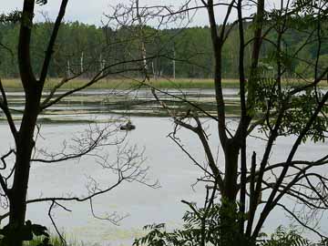 Großer Stadtsee