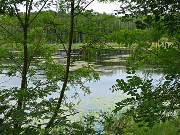 Großer Stadtsee – Blick vom Südufer