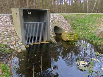 Werbellingraben – an der Kreisstraße 6802 mit Krötentunnel