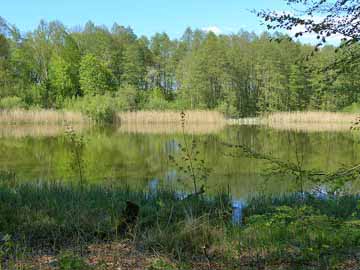 Lindsee – Blick vom Südufer des Sees