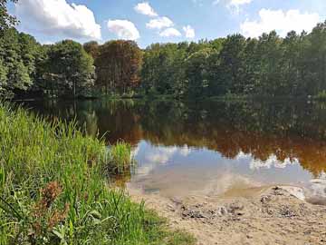 Briesesee – Blick von der Badestelle am Nordufer