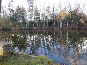 Weiher Kirchheim – Stege am Westufer des Weihers