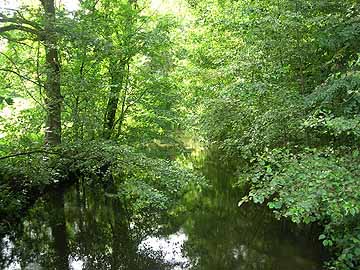 Schiwastrom – Blick von der Brücke L421 flussaufwärts