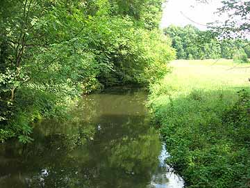 Schiwastrom – Blick von der Brücke L421 flussabwärts