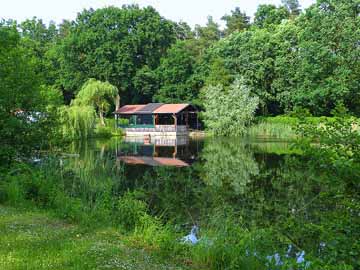 Fischteich Altfriesack