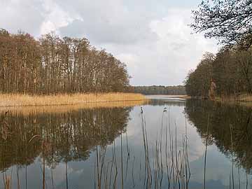 Möllensee – Möllensee im April