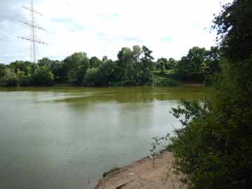 Niephauserfeld – Blick in den südöstlichen Seebereich