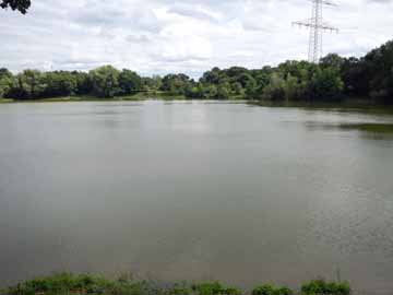 Niephauserfeld – Blick vom Südufer