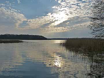 Bützsee – Blick vom Ostufer auf die Insel