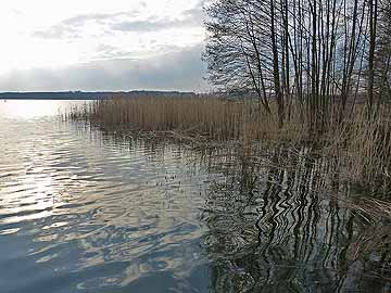 Bützsee