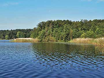 Molchowsee – Höhe Molchow im September 2011