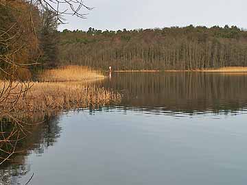 Tetzensee