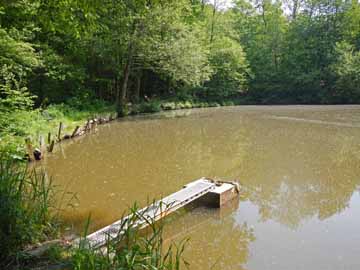 Teichanlage Altenberg – Aufnahme am Überlauf Teich 4