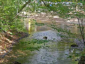 Scherfbach – Mündungsbereich des Scherfbachs