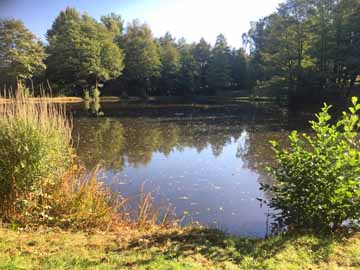 Angelweiher Beuren