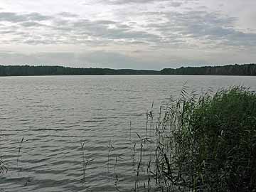 Kiever See – Blick vom Südufer
