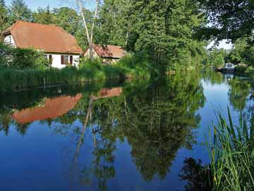 Rhin – kurz oberhalb des Wehrs Hakenberg