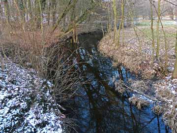 Kleiner Rhin