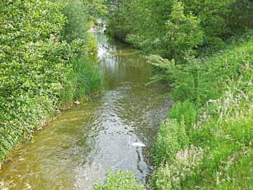 Elde – Verbindungsfließ vom Rönnbergsee