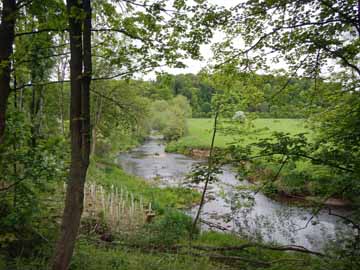 Wupper – strukturreicher Flussabschnitt unterhalb Hämmern