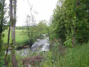 Wupper – unterhalb Gewerbegebiet Hämmern