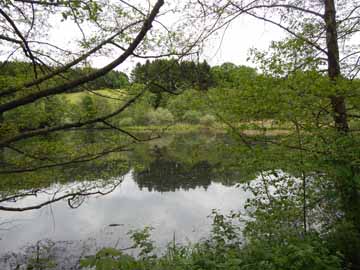 Beverteich