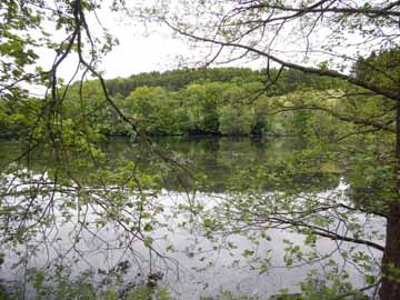 Beverteich