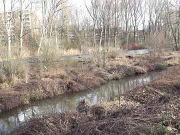 Urdenbacher Altrhein