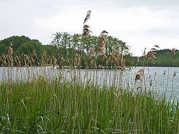 Kirchsee – Kirchsee im Frühjahr