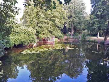 Florapark-Weiher