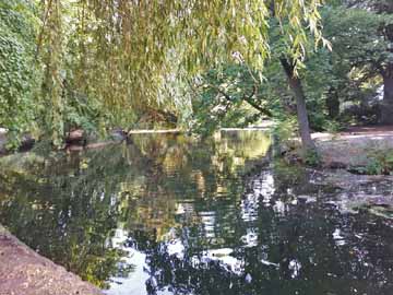 Florapark-Weiher