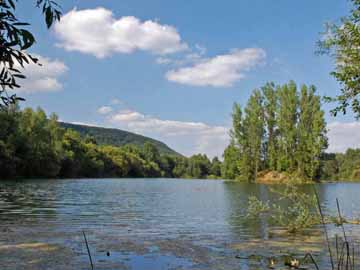 Teich Kirchhoff – Blick vom Südufer des Sees