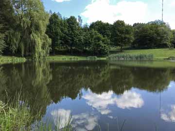 Kirchweiler Weiher – Mai 2020 am Einlauf vom Weiher