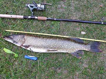 Cantnitzer See – Hecht von 90cm und 4530g am 22.09.2013