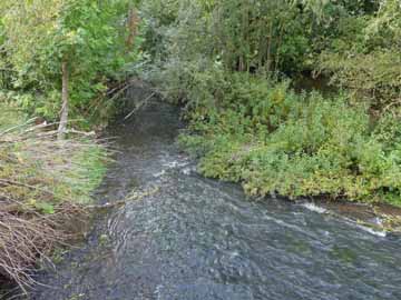 Bega – Bega unterhalb der Brücke Bielefelder Straße