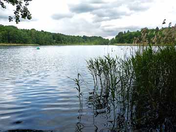 Pechteich – Blick über den Pechteichsee Richtung Norden