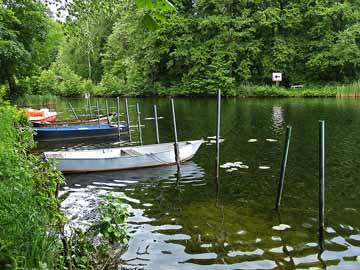 Pechteich – südlicher Seebereich, Auslauf Werbellinkanal